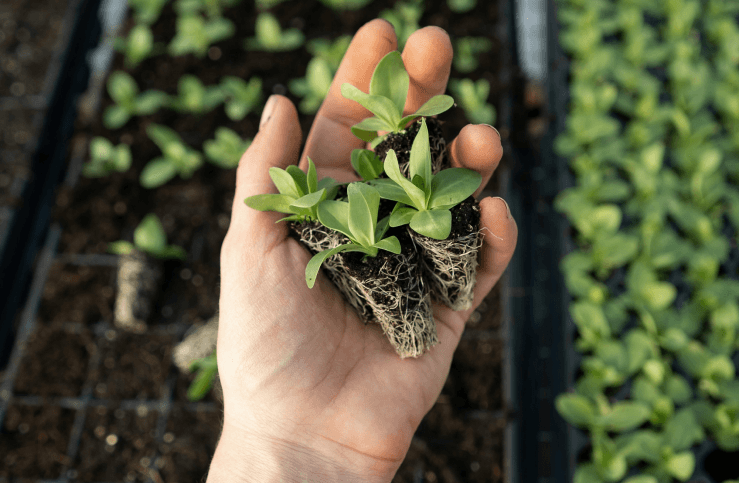 SOLUCIÓN MODERNA PARA LOS PROBLEMAS AGRÍCOLAS COTIDIANOS
