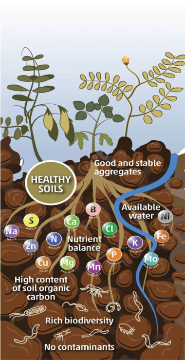 RESCAYPE CREA UNA SOLUCIÓN EFICAZ PARA LA SALINIZACIÓN
