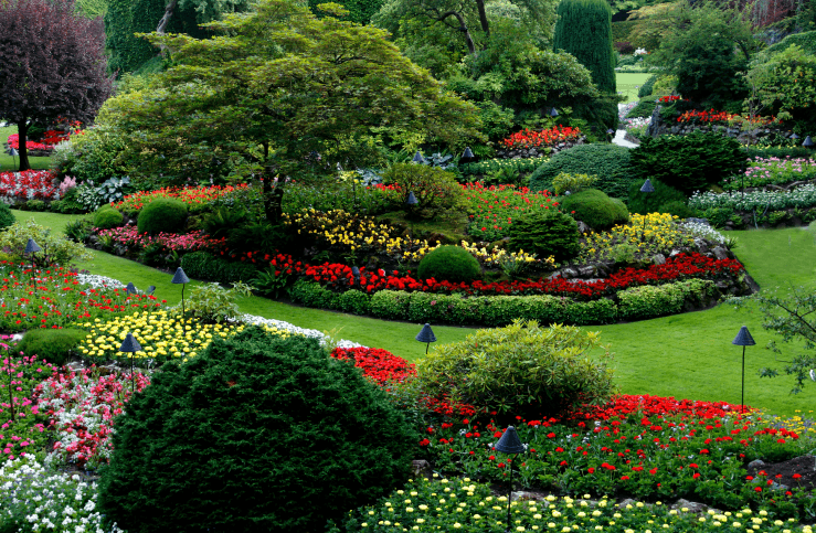 GROUND IMPROVER EN PAISAJISMO EFECTIVO