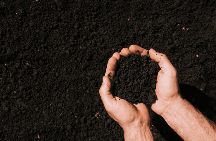 GROUND IMPROVER REDEFINIENDO EL FUTURO DE LA HORTICULTURA